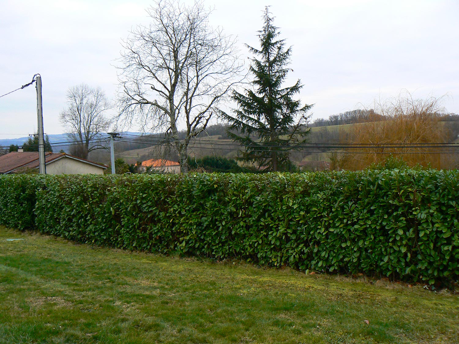 Zaffagni-Espaces-Verts-23